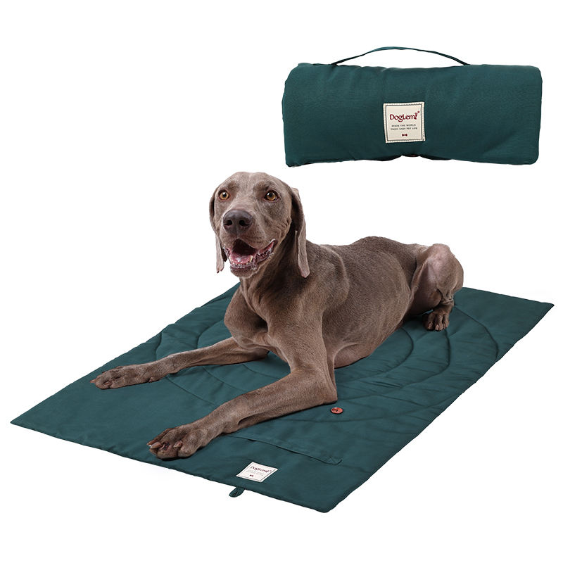 Draagbare Dierenmat Opvouwbare - Outdoor Camping Mat Waterproof recensie en prijs