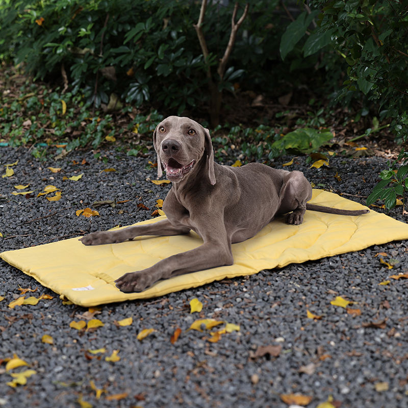 Draagbare Dierenmat Opvouwbare - Outdoor Camping Mat Waterproof recensie en prijs