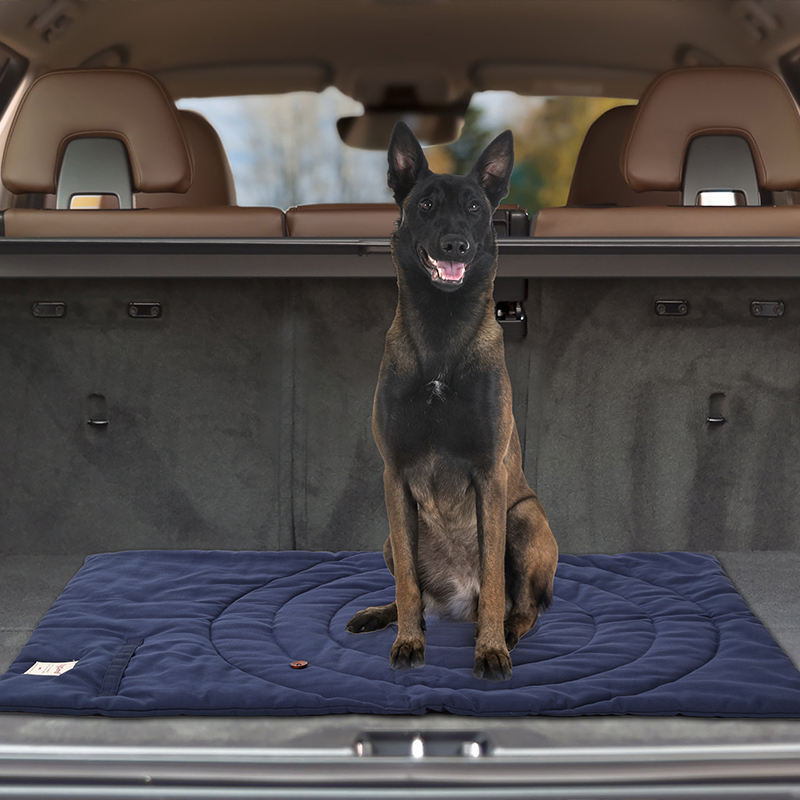 Draagbare Dierenmat Opvouwbare - Outdoor Camping Mat Waterproof recensie en prijs